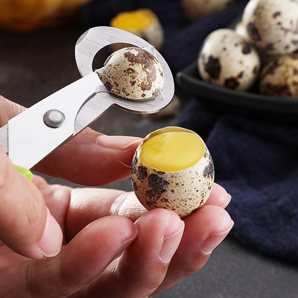 Alat pemisah cangkang telur bu - Egg Separator Tool ulasan dan harga